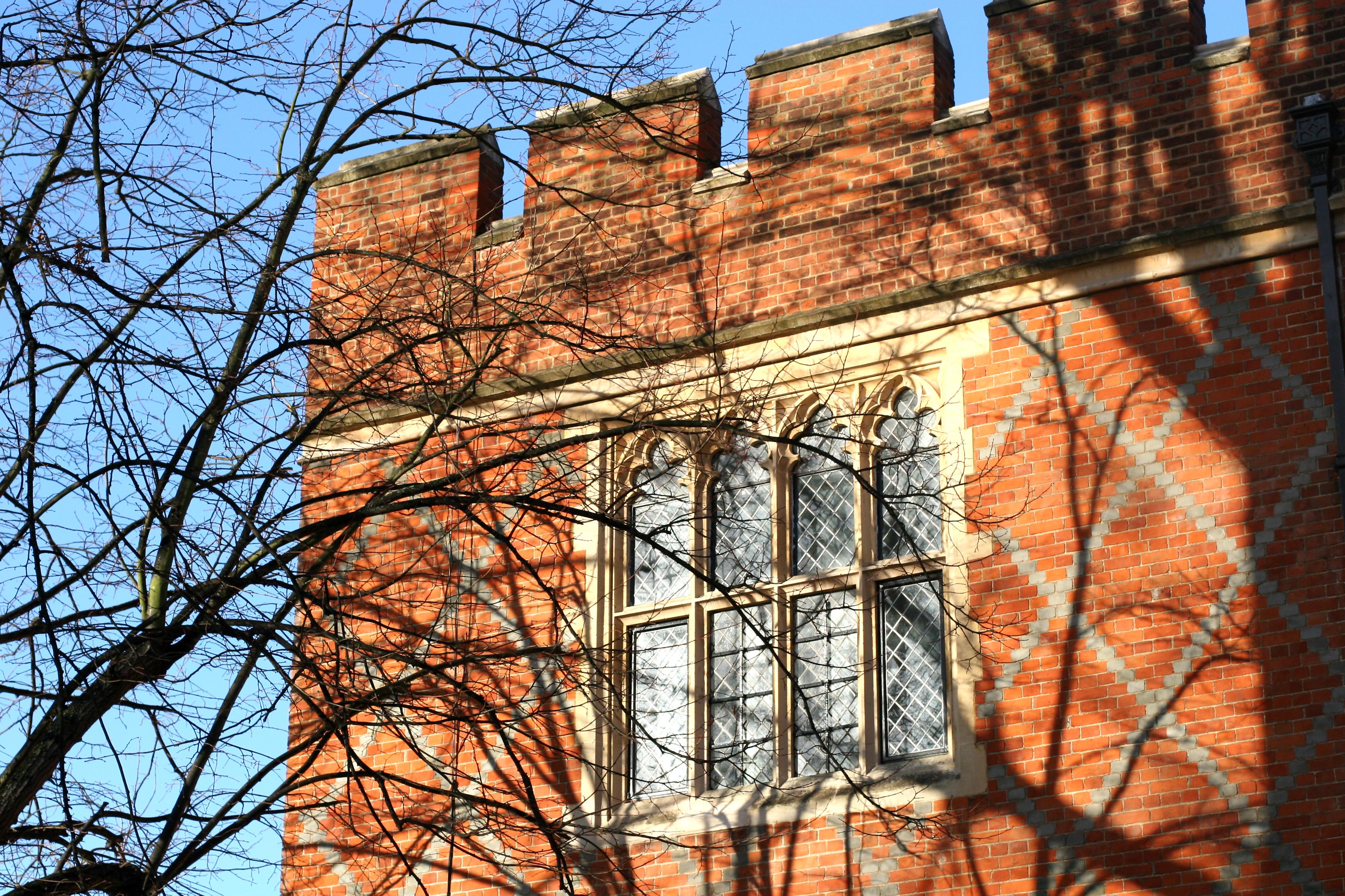 Tree shadows on Eton College